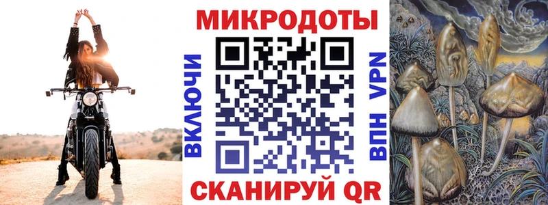 Купить  Надым  Галлюциногенные грибы GOLDEN TEACHER 